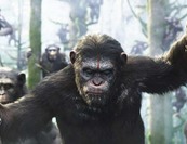 Nem vetíti a Cinema City az új majmok bolygóját 