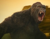 King Kong még New York-ba sem jut el 