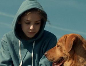 A New York Times szerint gyönyörű a Fehér Isten című film 