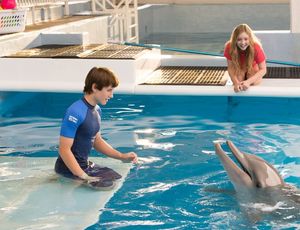 Delfines kaland 2.