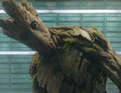 Groot 15 nyelven szólal meg (videó)