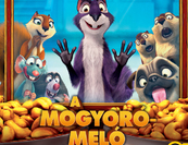 A mogyoró-meló premier előtt sztárokkal 